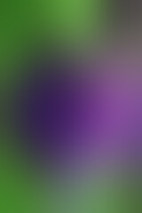 Wall Mural - a blurred color light texture overlay background
