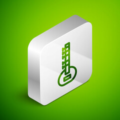 Sticker - Isometric line Sitar classical music instrument icon isolated on green background. Silver square button. Vector