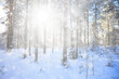 © kichigin19 - winter background snowfall trees abstract blurred white