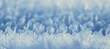 Leinwandbild Motiv abstract winter background hoarfrost frost ice snow seasonal