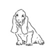 Decorative contour portrait of standing in profile Basset Hound, vector isolated illustration in black color on white background