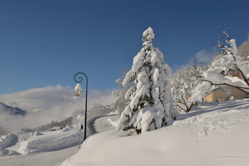 Wall Mural - fir tree covered with fresh snow on a white road leading to an alpine village