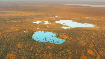 Poster - Miory District, Vitebsk Region, Belarus. The Yelnya Swamp. Aerial View Of Yelnya Nature Reserve Landscape. Narrow Wooden Hiking Trail Winding Through Marsh. Cognitive Boardwalk Trail Over A Wetland