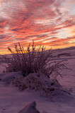 Fototapeta  - Wschód słońca Beskid Niski 