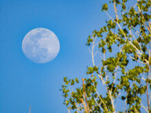 Close Up Shot Of A Bright Moon In Daytime