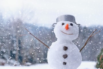 Lovely smiling snowman in the winter garden