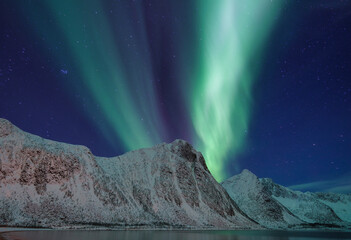 Wall Mural - aurora borealis in norway. green northern lights above mountains. night winter landscape with aurora