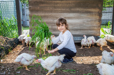 Wall Mural - The child in the chicken coop feeds the hens. Selective focus.