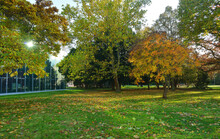 Dessau, Germany, Autumn Season And View To The Park And The New Bauhaus Museum