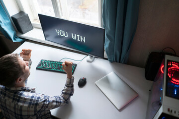 Wall Mural - person playing video game showing happy emotions winning the game