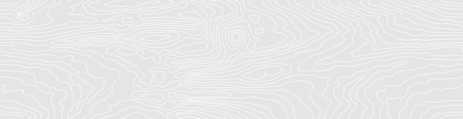 Seamless wooden pattern. Wood grain texture. Dense lines. Abstract white background. Vector illustration