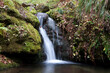© fulviodegregorio - Lunga esposizione di cascata du ruscello con foglie secche nel sottobosco d'Aspromonte