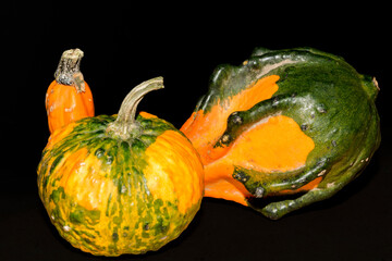 Decor squashes in front of black background