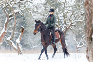 Young rider woman ejoying horse riding in winter park.