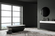 Dark bathroom interior with bathtub and sink, carpet and window with countryside