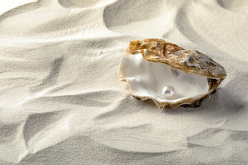 Wall Mural - Open oyster with white pearl on sand, space for text