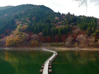 Canvas Print - the beautiful autumn leaves of lake okutama in Tokyo