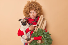 Impressed Scared Woman Holds Pedigree Dog And Christmas Decorations Stares Bugged Eyes At Camera Realizes She Didnt Buy All Presents For Winter Holidays Poses Indoor Against Beige Background