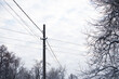 Snow-covered tree branches and electric pole with wires against blue sky with white clouds