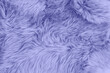 Very peri color sheep fur sheepskin rug background Wool texture