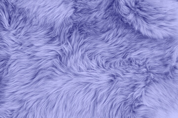 very peri color sheep fur sheepskin rug background wool texture