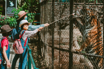 Children and mother feeding meat to big tiger