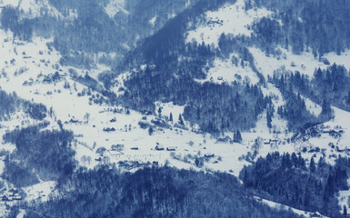 Wall Mural - Winter in Carpathian