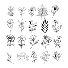 Botanical Line Art Floral Leaves Collection. Set Of Plants. Hand Drawn Sketch Branches Isolated On White Background. Vector Illustration