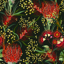 Australian Flowers Seamless Pattern.