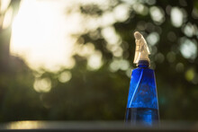 Water Spray Bottle With Green Foliage Sunset Bokeh