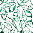 Monstera leaves watercolor seamless pattern. Template for decorating designs and illustrations.