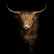 close up of a bull (bos taurus) 