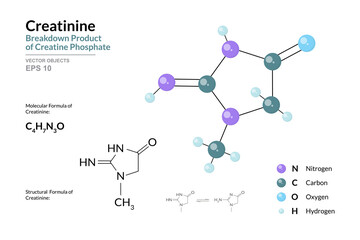 Poster - Creatinine. Breakdown Product of Creatine Phosphate. Structural Chemical Formula and Molecule 3d Model. C4H7N3O. Atoms with Color Coding. Vector Illustration