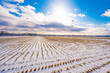雪景色の畑