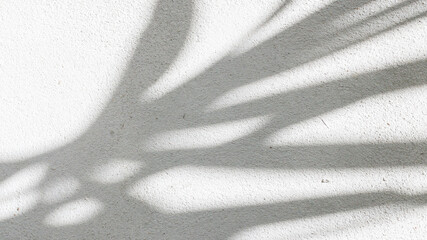 Wall Mural - Black and White abstract background textuer of shadows leaf on a concrete wall