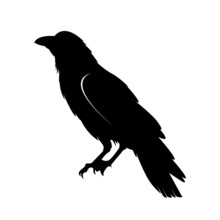 Raven Silhouette Vector Illustration Crow Flat Logo Icon Clipart