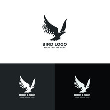 Bird Logo Design - Logo Template