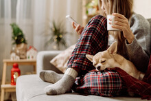 Cozy Woman In Knitted Winter Warm Socks And Sweater With Sleeping Dog And Checkered Plaid Holding A Cup Of Hot Cocoa Or Coffee, During Resting On Couch At Home In Christmas Holidays. Winter Drinks.