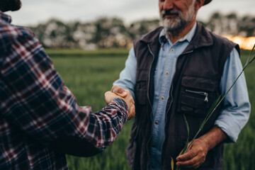 Wall Mural - close p of farmers handshake outdoor