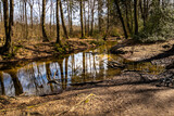 Fototapeta Tęcza - river in the forest