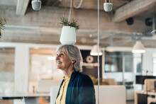 Senior Businesswoman Under Hanging Plant Basket