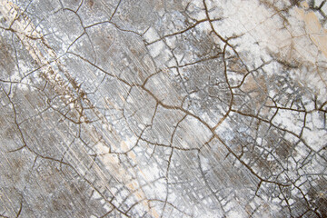 Wall Mural - Cracked plaster wall texture, damaged walls exposed to sunlight and rain