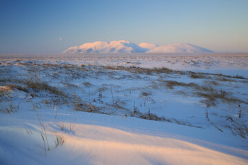 Wall Mural - winter arctic landscape. view of the snow-covered tundra and hills. cold winter weather. harsh north