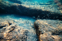 A Deserted But Fascinating Underwater Landscape With Large Rocks, Reflections From The Setting Sun And Small Shoals Of Fish In Shallow Water. Narrow Depth And Soft Focus