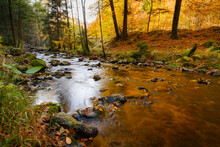 Ecker River Flowing Through Autumn Forest In Harz National Park