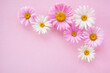 Pink floral background with pink and white flowers daisies asters. Space for congratulations text, postcard.