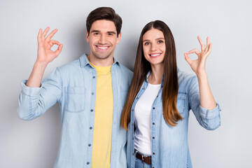 Sticker - Photo of pretty sweet sister brother dressed denim shirts embracing showing okey signs isolated grey color background