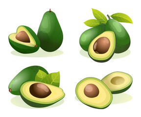 Wall Mural - Set of fresh avocado whole and half cut illustration isolated on white background