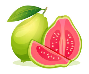 Wall Mural - Set of fresh guava whole and half cut with leaf illustration isolated on white background