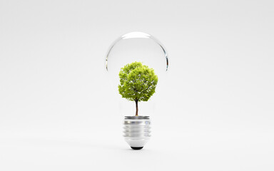 isolate of green tree inside lightbulb on white background for energy saving and environment concept